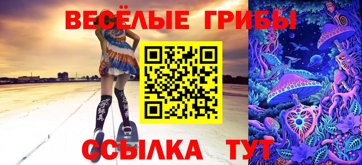 Лениногорск  Галлюциногенные грибы Magic Shrooms  Вход с VPN 