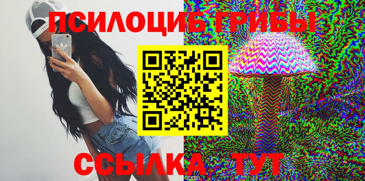Псилоцибиновые грибы Psilocybe Лениногорск